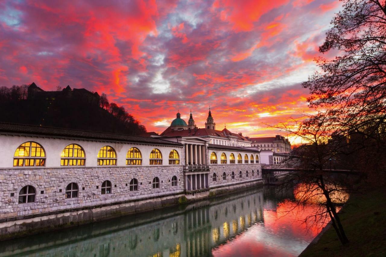 Apartment Optim Ljubljana Dış mekan fotoğraf