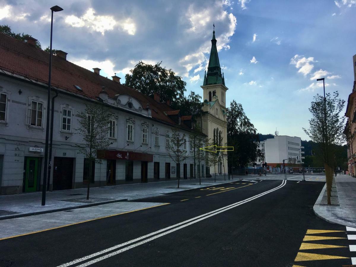 Apartment Optim Ljubljana Dış mekan fotoğraf